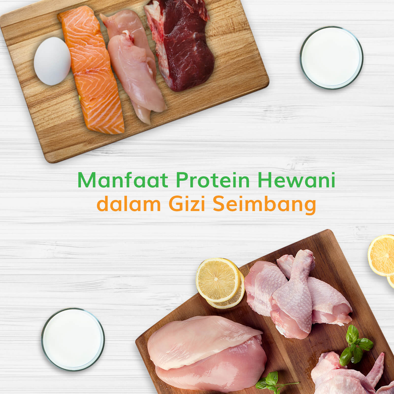 Image MANFAAT PROTEIN HEWANI DALAM MEMENUHI GIZI SEIMBANG